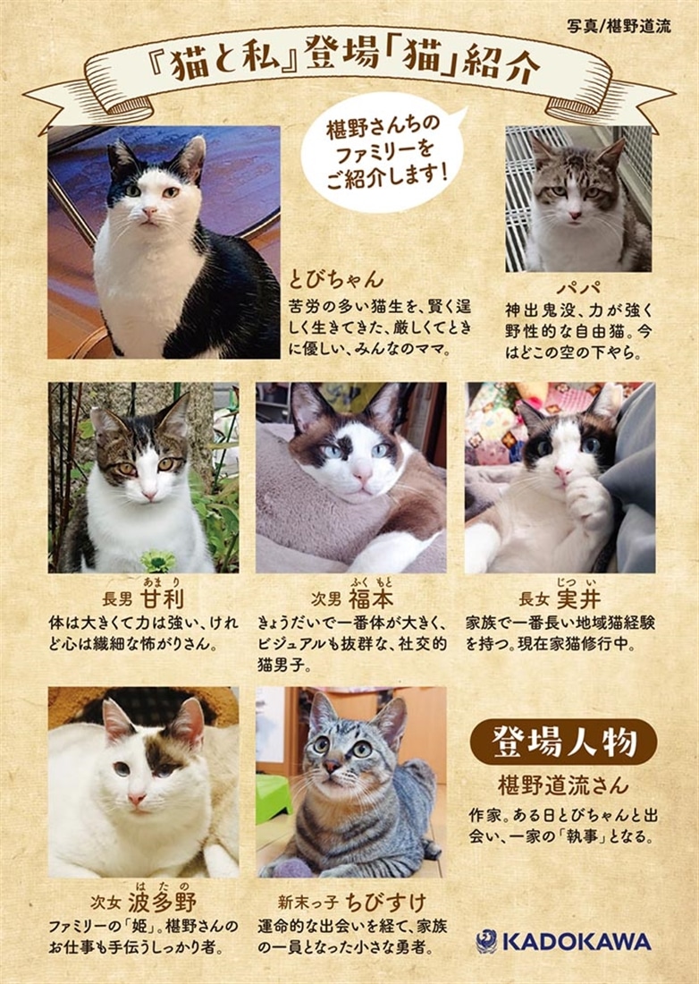 猫と私