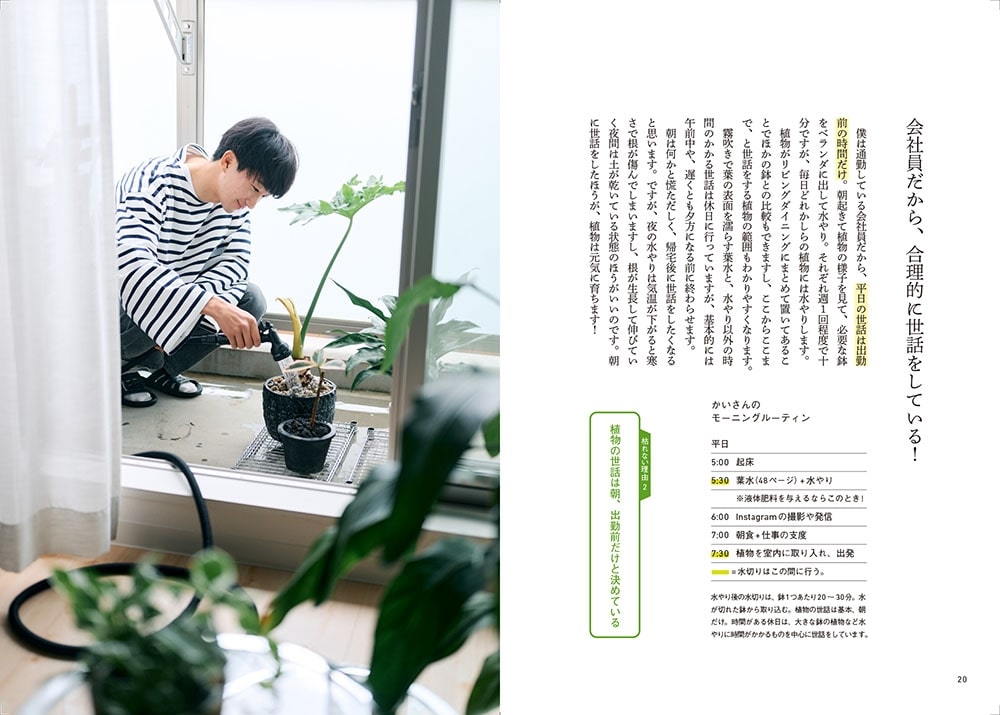 観葉植物男子 会社員が200株と暮らしてわかった、枯らさないコツ