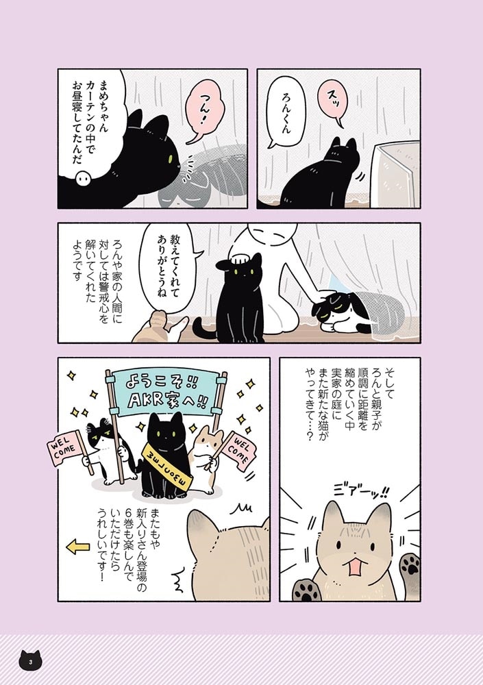 黒猫ろんと暮らしたら６