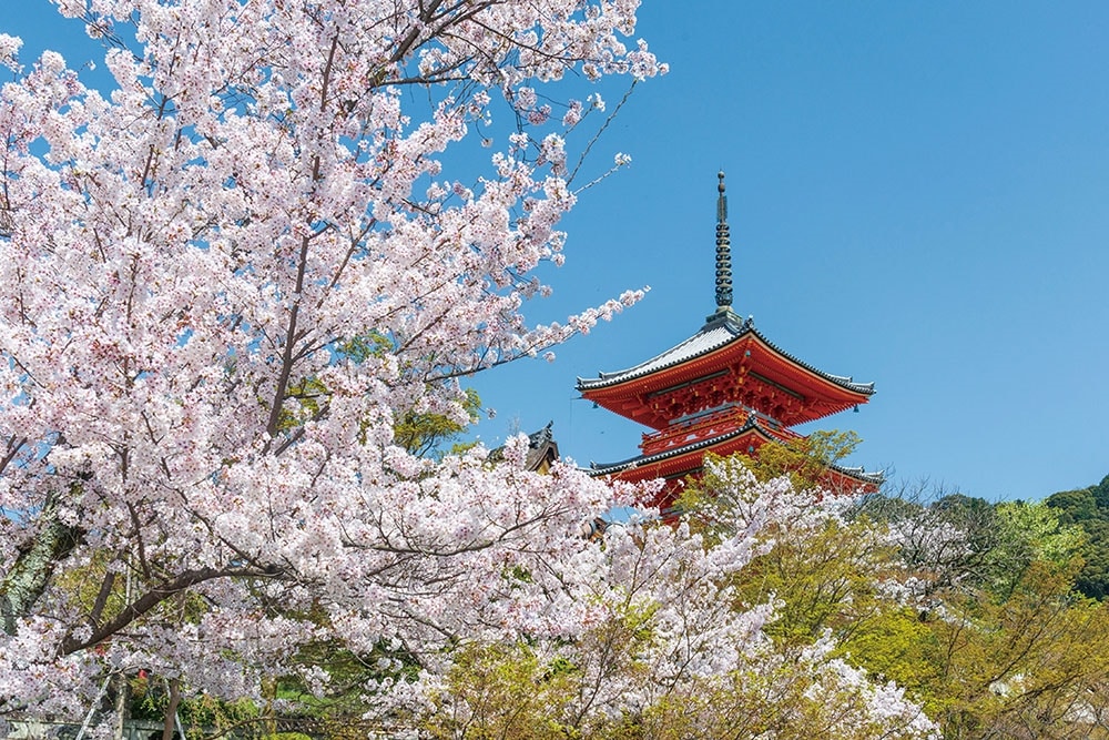 関西ウォーカー2025春 ウォーカームック