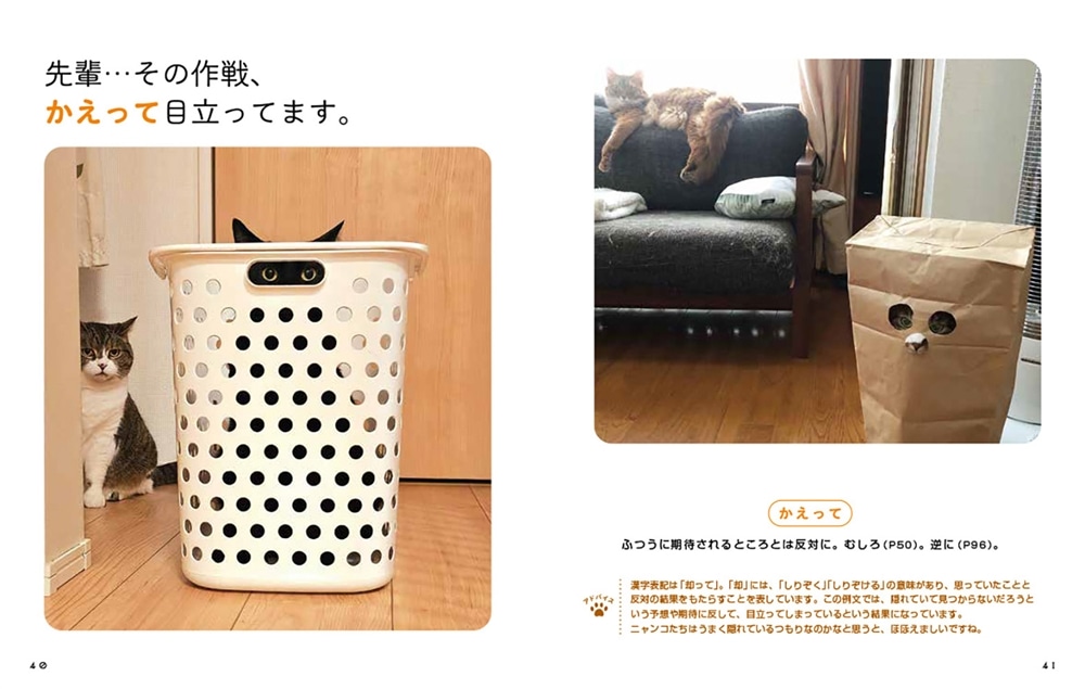 にゃるほど！ コミュ力UP語彙辞典