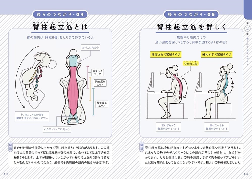 世界一わかりやすい 筋肉のつながり図鑑セルフケア編