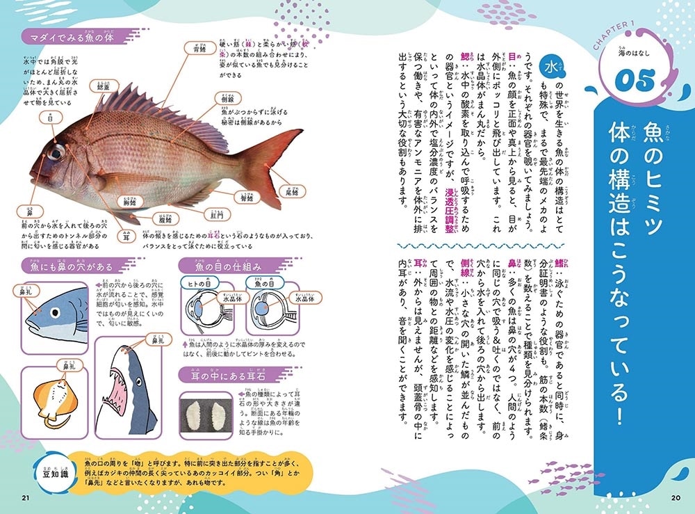 水の世界のひみつがわかる！ すごすぎる海の生物の図鑑