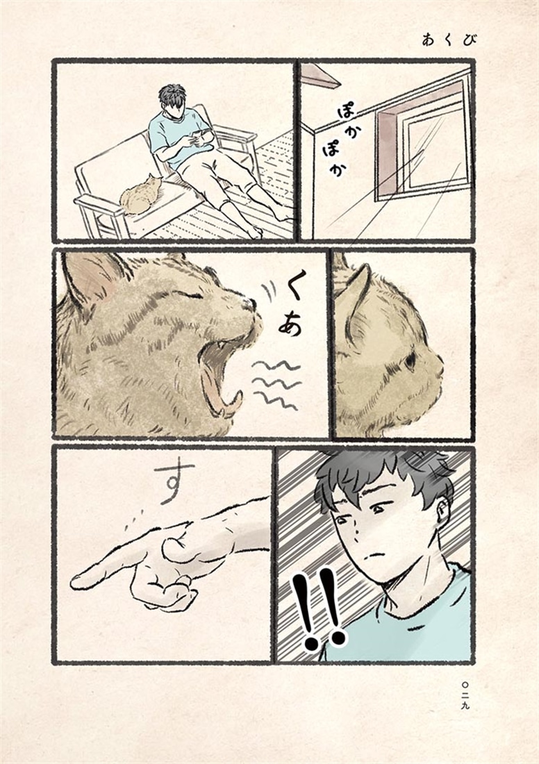 今日もネコ様の圧が強い