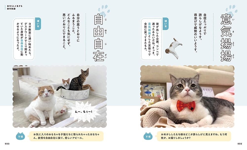 人生のヒントが見つかる　もちまる日記四字熟語