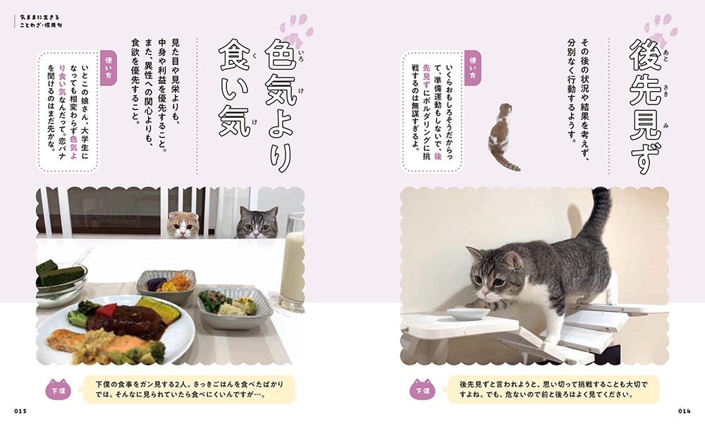 人生のヒントが見つかる　もちまる日記ことわざ・慣用句