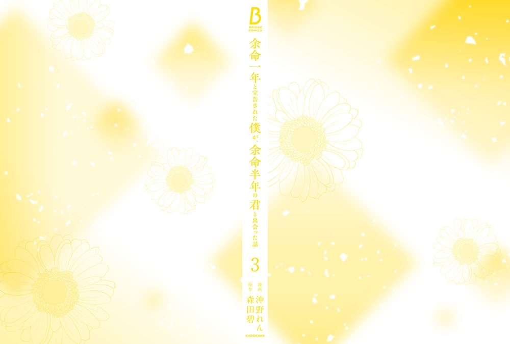 余命一年と宣告された僕が、余命半年の君と出会った話　3