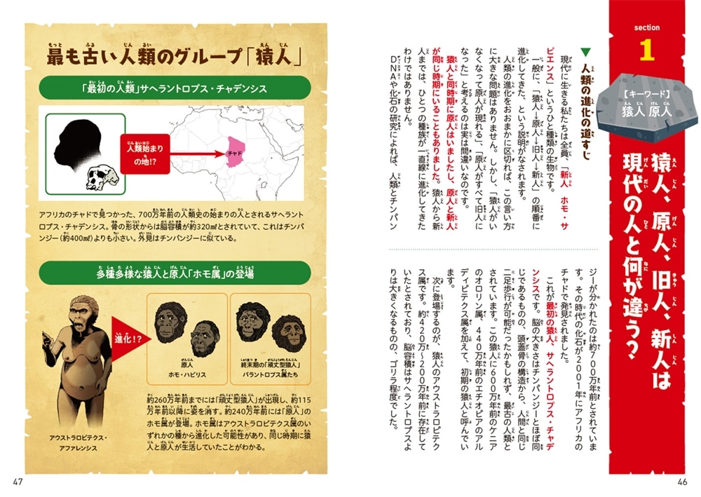 マンガでわかる！ 人類はどこから来たのか ようこそ、人類700万年の旅へ！ 君は、「人間」ってなんだと思う？