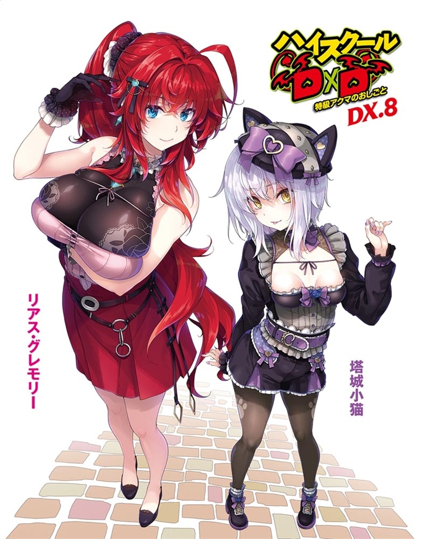 ハイスクールＤ×Ｄ　ＤＸ．8 特級アクマのおしごと