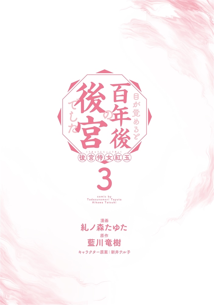 目が覚めると百年後の後宮でした 後宮侍女紅玉　3