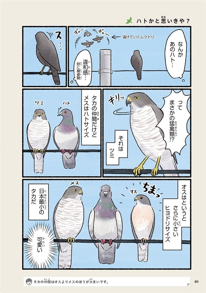 まだまだ！意外と知らない鳥の生活