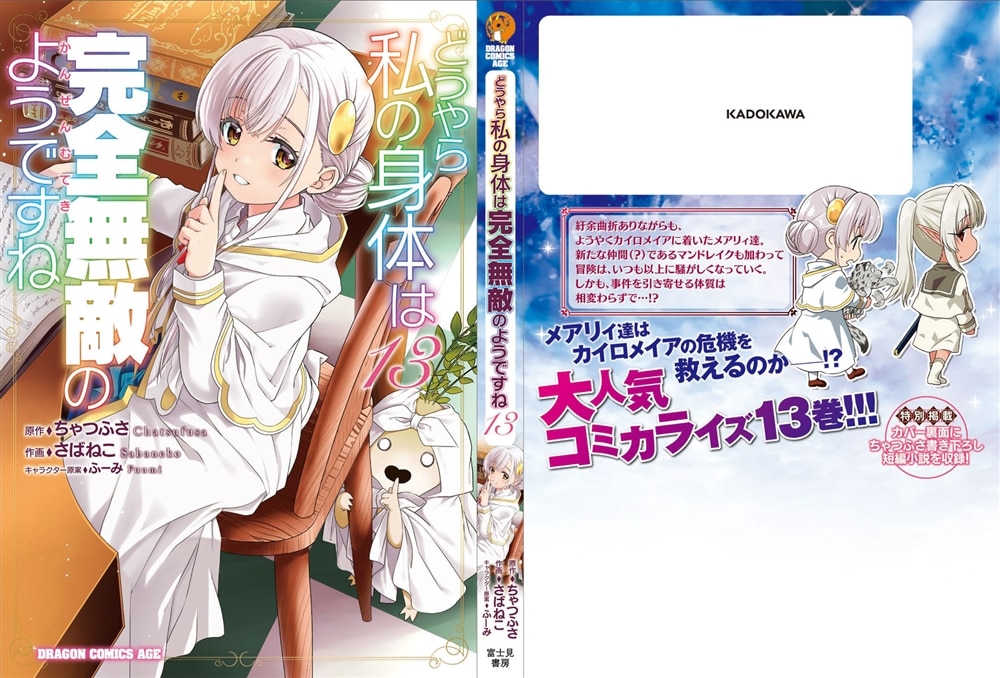 どうやら私の身体は完全無敵のようですね　１３