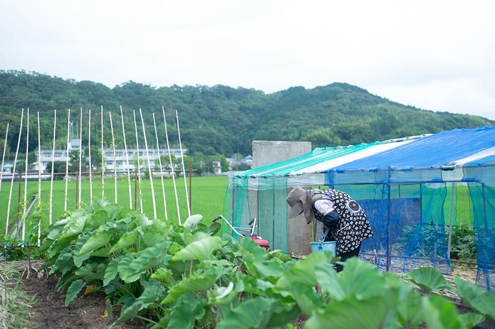 今日も明日も新しいことに挑戦！ 80代、ご機嫌に生きる人生の耕し方