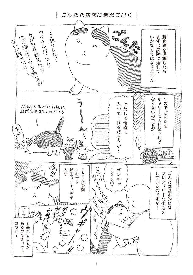 野良猫ごんた、家猫になる