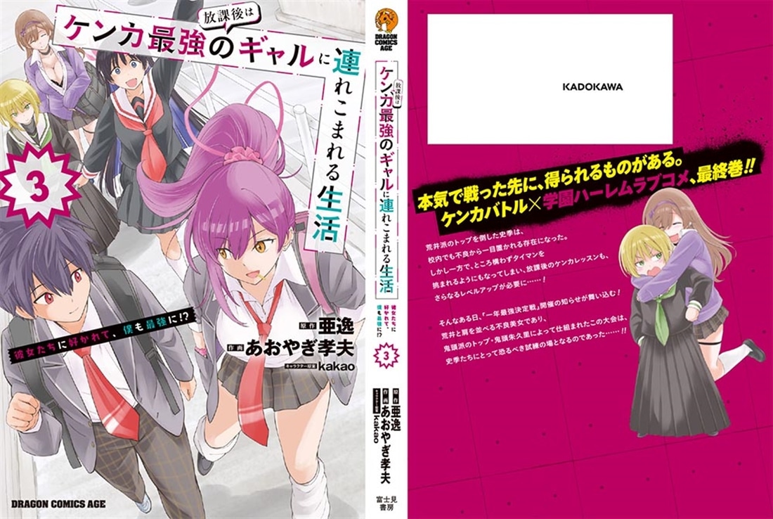 放課後はケンカ最強のギャルに連れこまれる生活　彼女たちに好かれて、僕も最強に!?　3