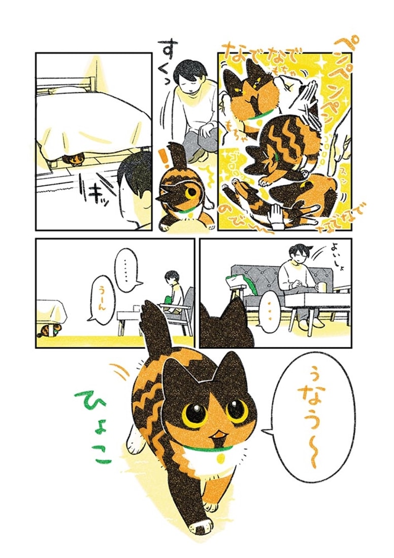 ひび猫にっき
