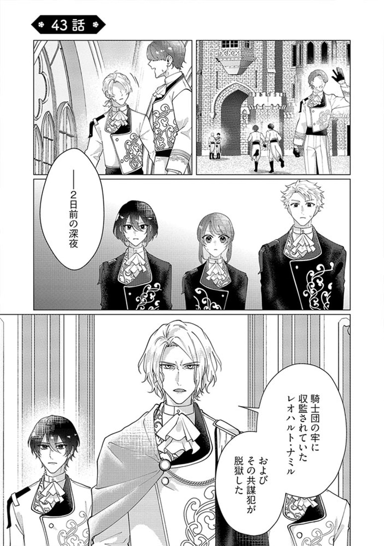 ゴリラの神から加護された令嬢は王立騎士団で可愛がられる ８