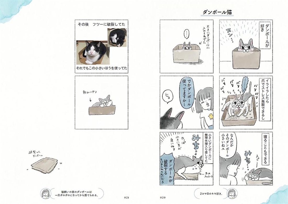 うちの猫は今日も塩対応