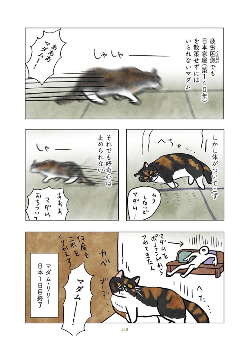 ポーランドからやってきた マダム猫の古民家暮らし