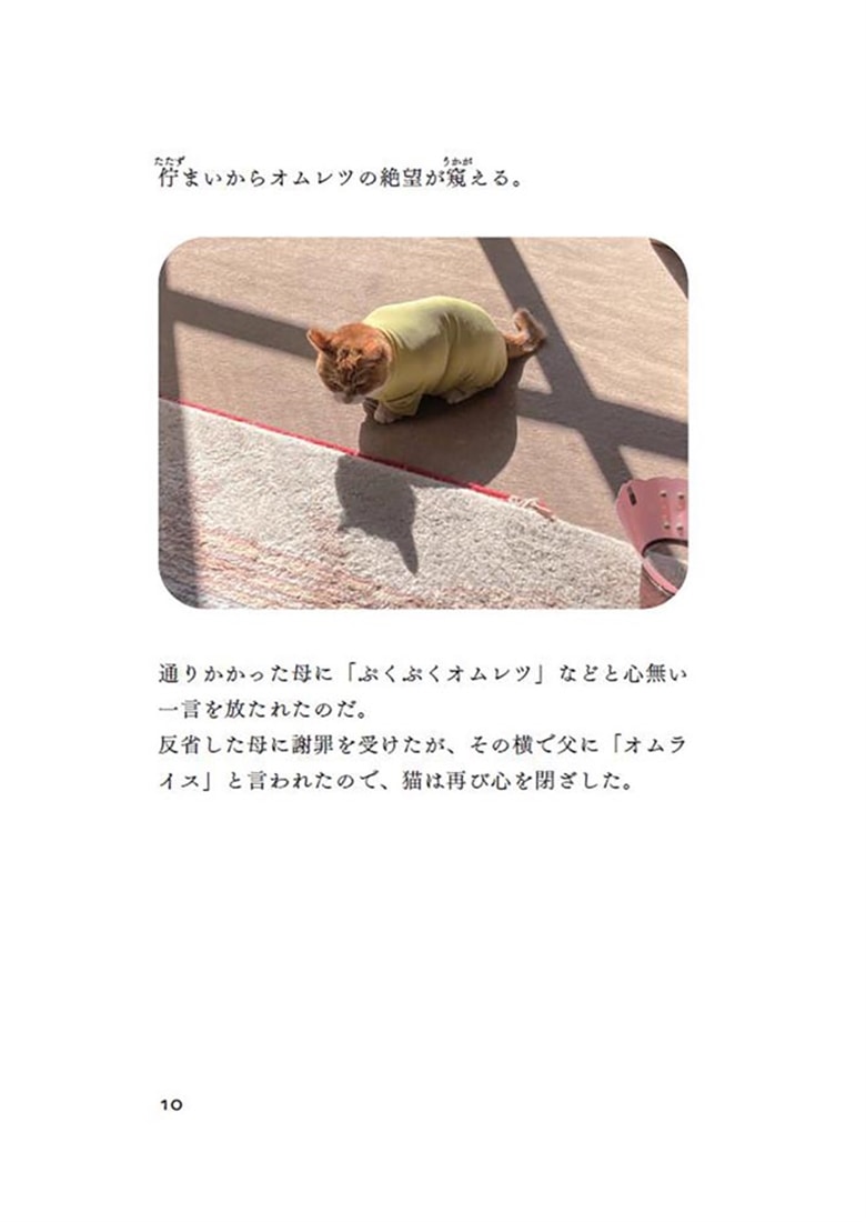 容赦のない猫たちに今日も絡まれています