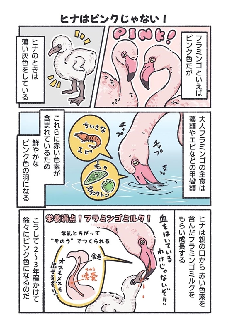 飼育員が教える！ 動物園が100倍楽しくなるどうぶつ図鑑
