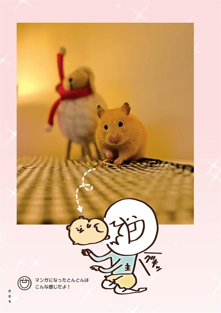 飼い主大嫌い系ハムスター とんとんの本音