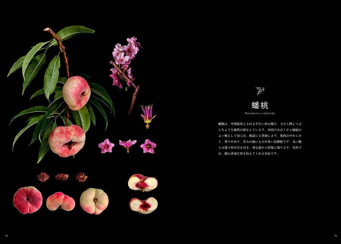 日本の美しき果実たち Fruits & Botanica