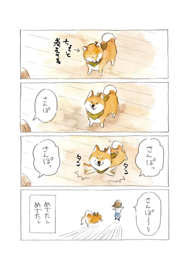 柴犬ぽんちゃん、今日もわが道を行く３