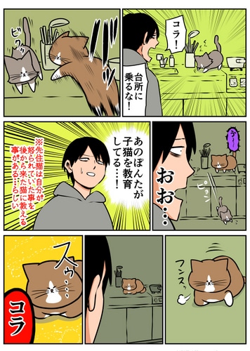 鴻池剛と猫のぽんた　ニャアアアン２ ebtenDＸパック【特典付】 DXパック［完売しました］