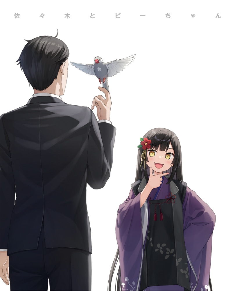 佐々木とピーちゃん 第3巻 DVD DVD 第3巻