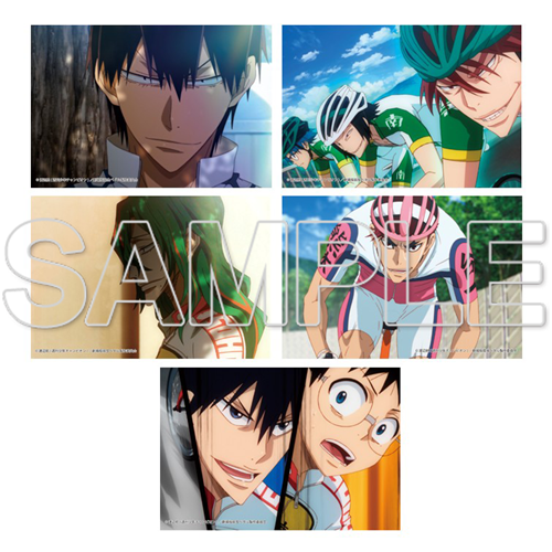 TVアニメ「弱虫ペダル」10周年フェスティバル ポストカードセット 劇場