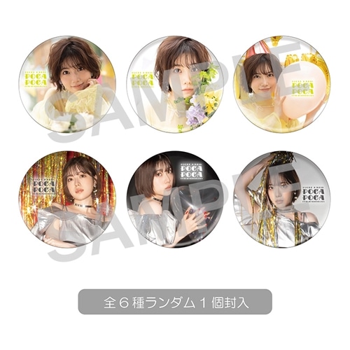 いそべかりんのぽかぽかおたんじょう日和2025_トレーディング缶バッジ(6種)