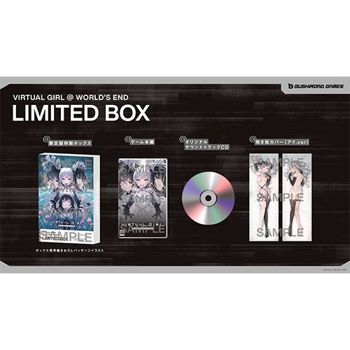 VIRTUAL GIRL @ WORLD'S END 限定版 Switchファミ通DXパック 3D