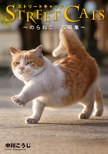 ナカザワショーコ 上野ランドオープン記念 招き猫の大福 ⭐︎20体限定