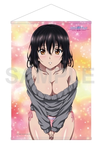 「ストライク・ザ・ブラッドⅣ」WスエードB2タペストリー 姫柊雪菜 ニットver.