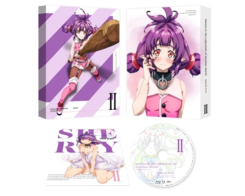 異世界迷宮でハーレムを DVD BOX 下巻: BD・DVD・CD | カドスト | KADOKAWA公式オンラインショップ