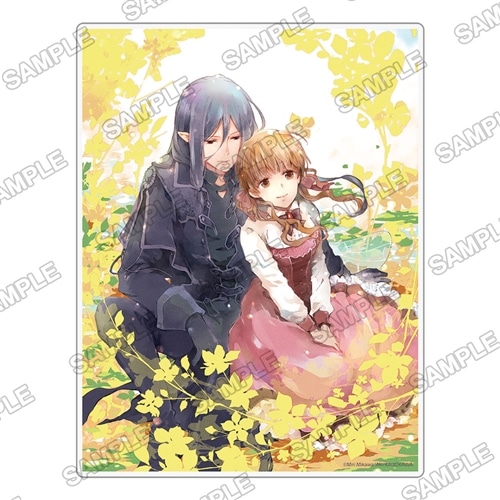 11280047_2