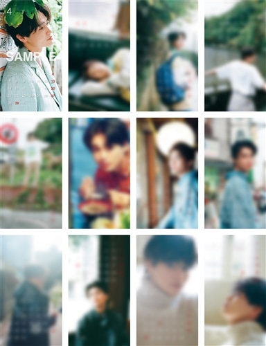 「Sho Nishigaki Calendar 2025」グッズ　ミニカレンダーセット（12枚入り）