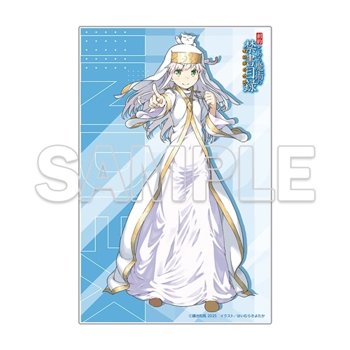 創約 とある魔術の禁書目録⑬』 アクリルプレート付きセット: グッズ