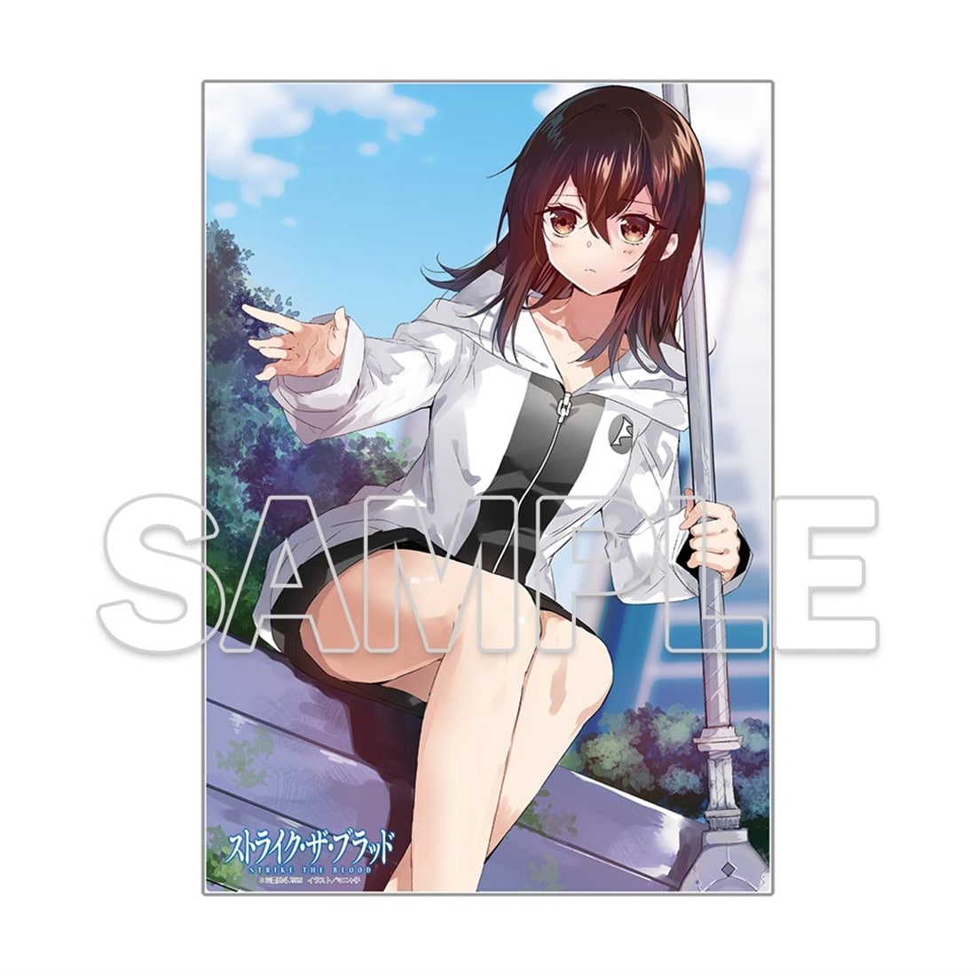 ストライク・ザ・ブラッド』ビッグアクリルプレート C: グッズ・文具