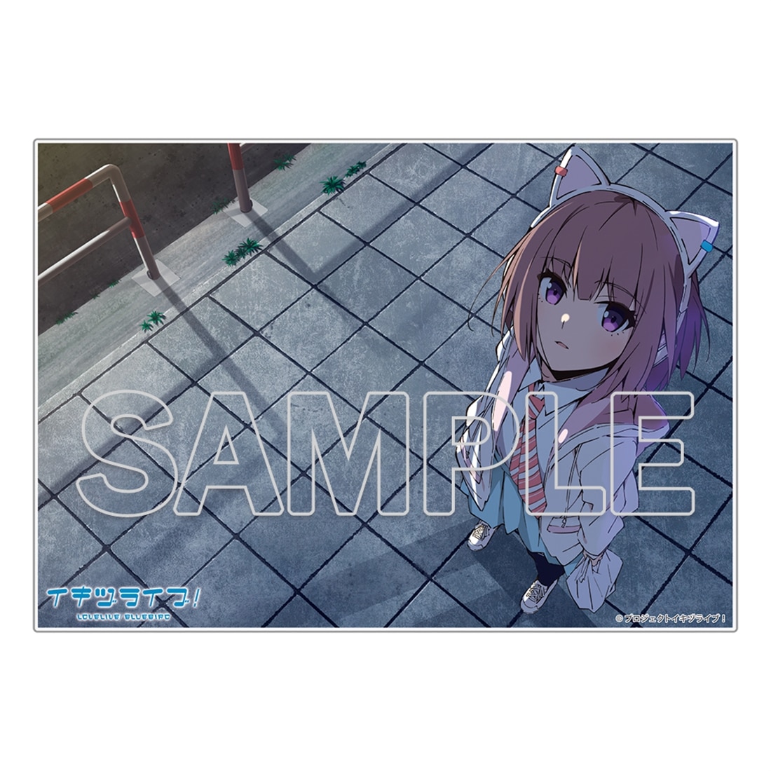 イキヅライブ！LOVELIVE! BLUEBIRD』アクリルプレート F: グッズ・文具