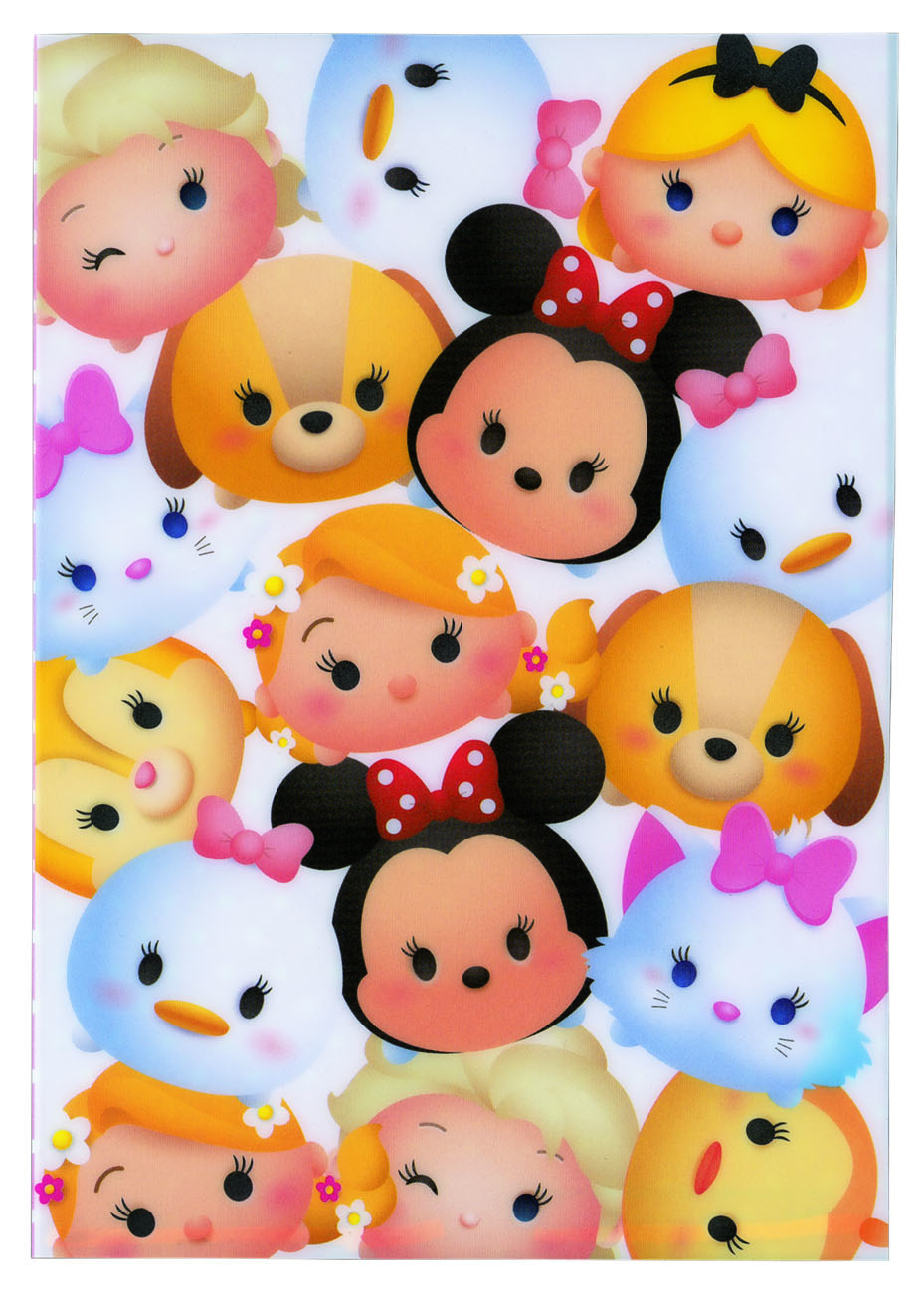 ツムツム　かんたん家計簿2017