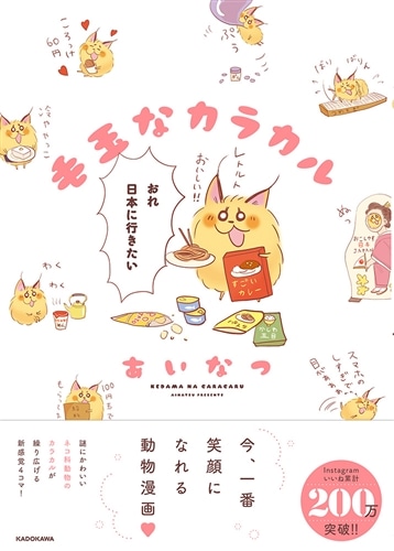 毛玉なカラカル