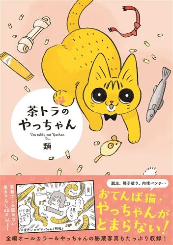 茶トラのやっちゃん: 本・コミック・雑誌 | カドスト | KADOKAWA公式
