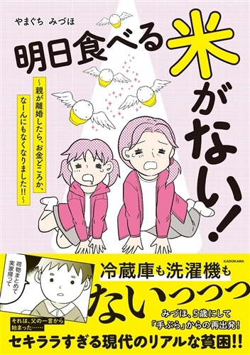 明日食べる米がない！ ～親が離婚したら、お金どころか、なーんにもなくなりました!!～