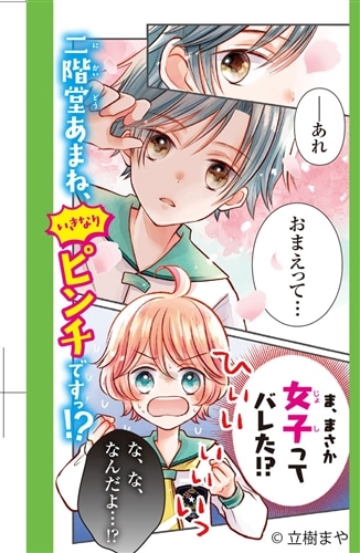 ブルーなあたしとピンクなぼく 2人の入れ替わり大作戦!?: 本