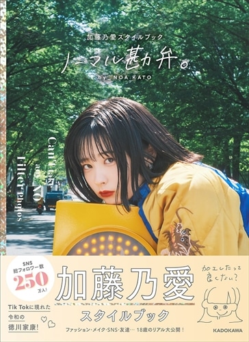 ノーマル勘弁。 加藤乃愛スタイルブック: 本・コミック・雑誌