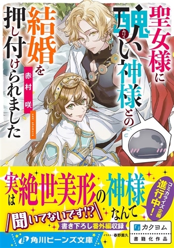 聖女様に醜い神様との結婚を押し付けられました