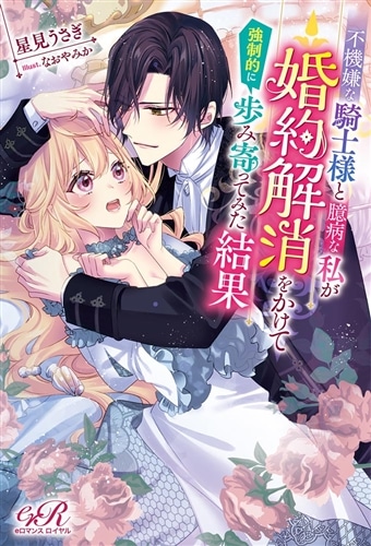 不機嫌な騎士様と臆病な私が婚約解消をかけて強制的に歩み寄ってみた結果