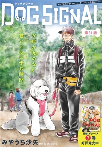 DOG SIGNAL 8: 本・コミック・雑誌 | カドスト | KADOKAWA公式